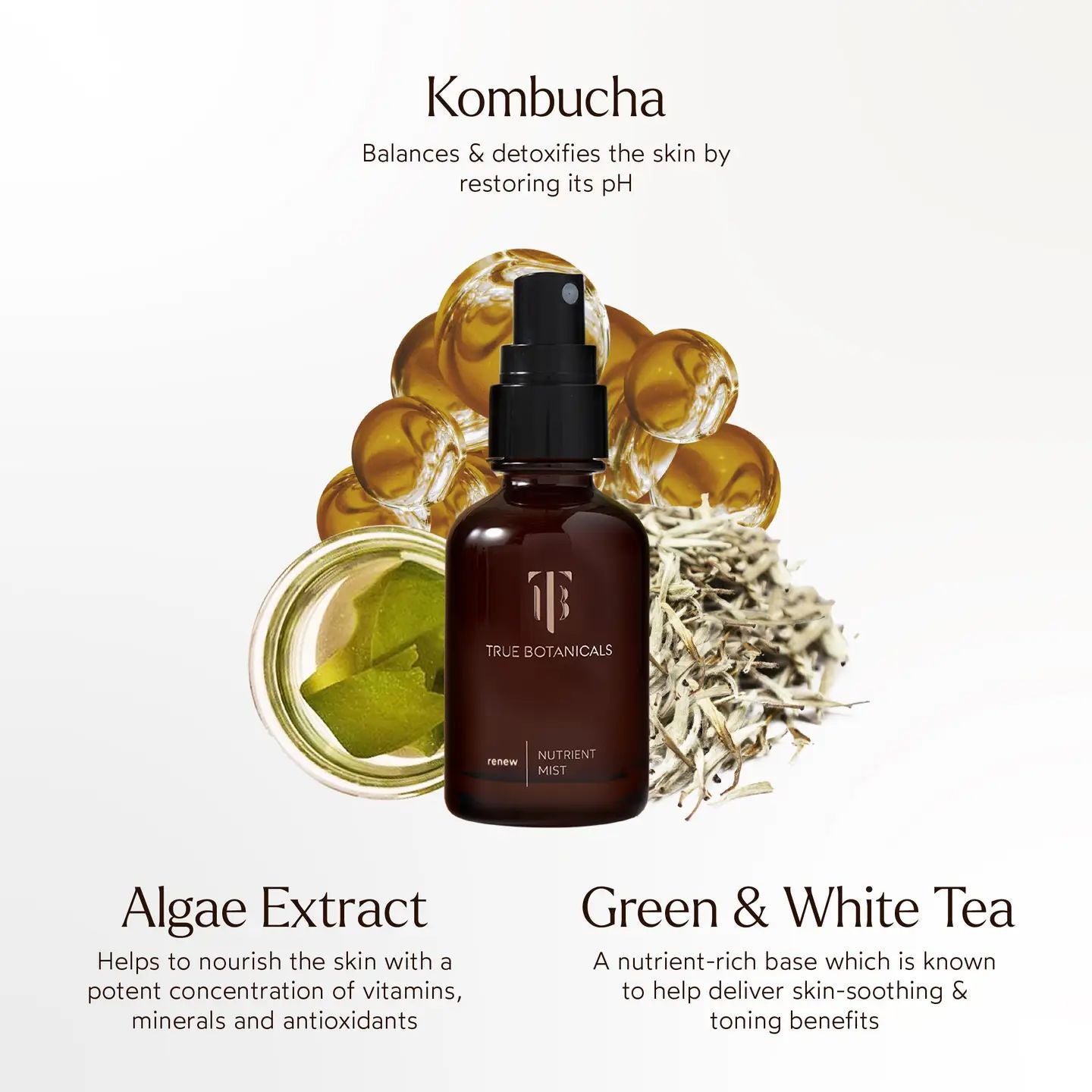 Renew Nutrient Mist | TRUE BOTANICALS