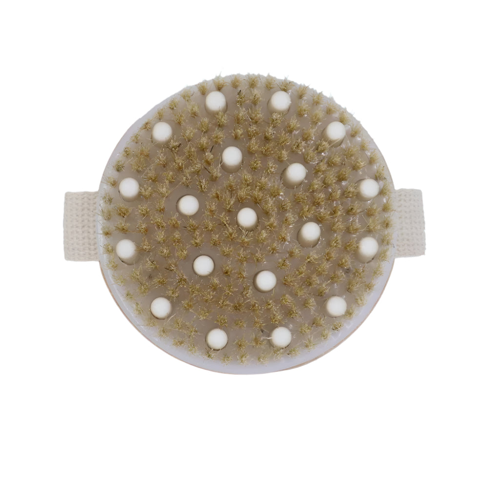 Bamboo Dry Brush  |  QUEEN OF THE THRONES