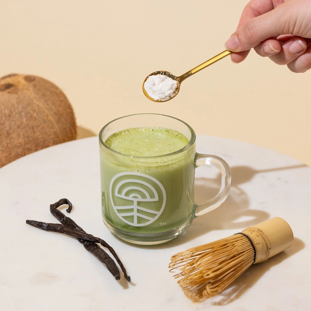Nootropic Creamer Advanced Superfood | CYMBIOTIKA