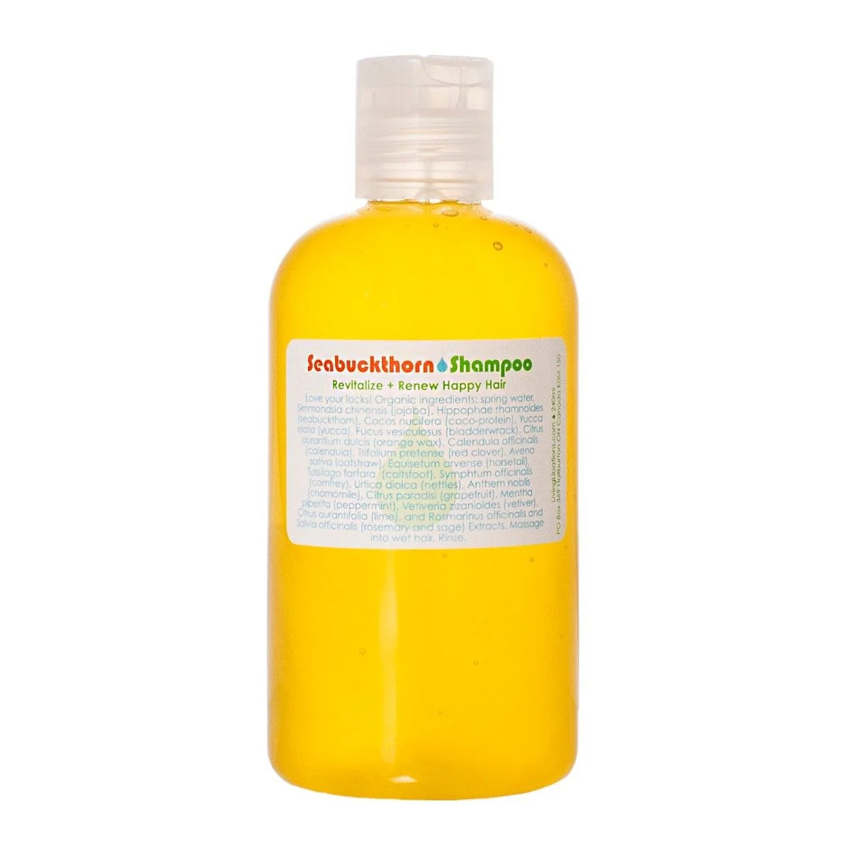 Seabuckthorn Shampoo | LIVING LIBATIONS