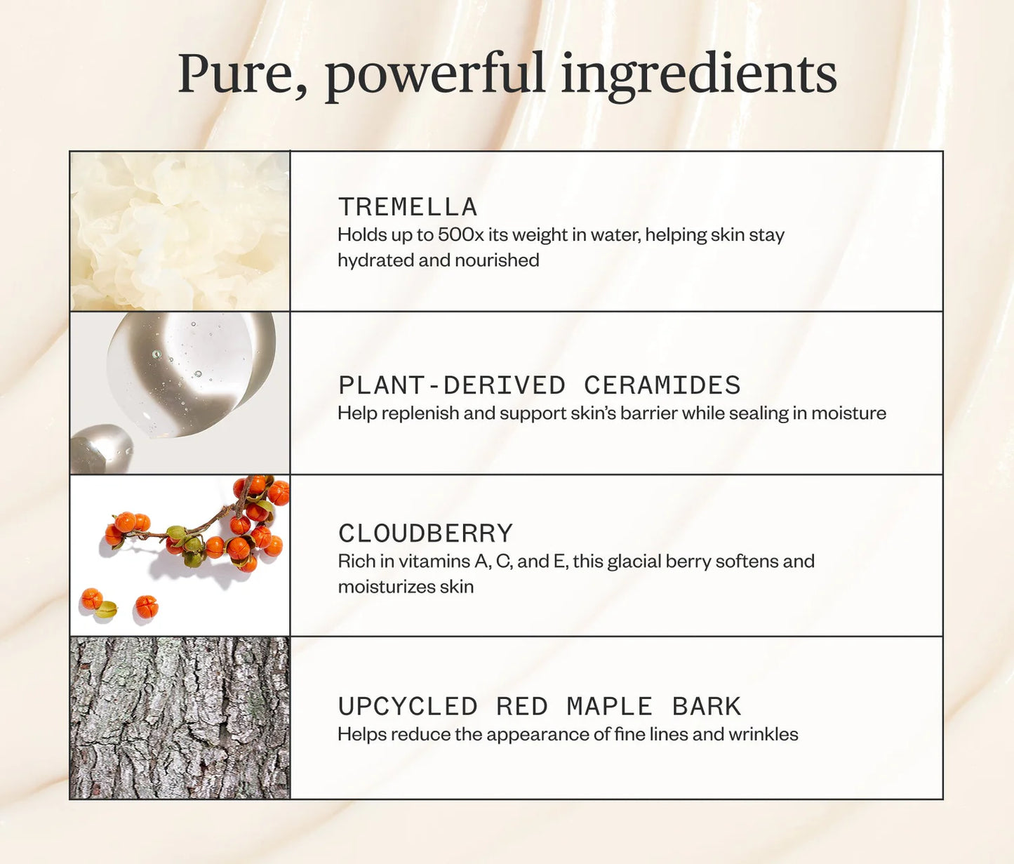 Alpine Rich Cream | URSA MAJOR