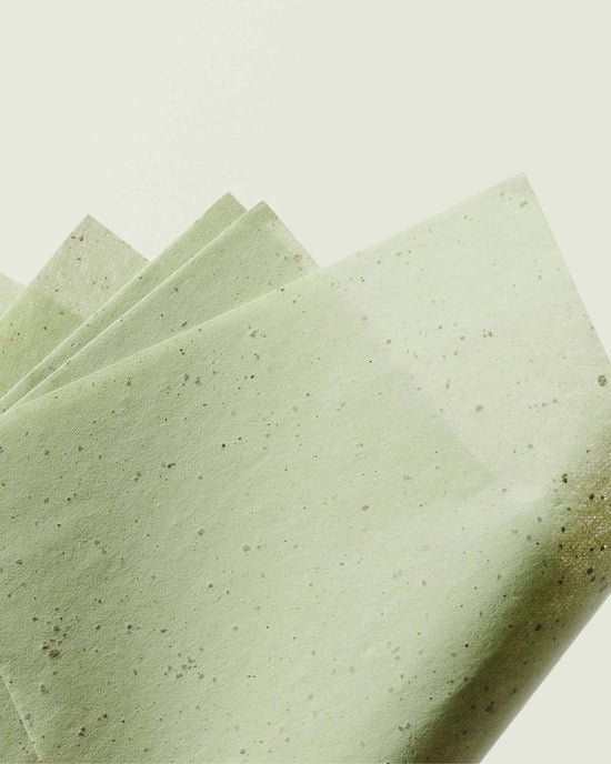 Green Tea Oil Control Paper | ERE PEREZ