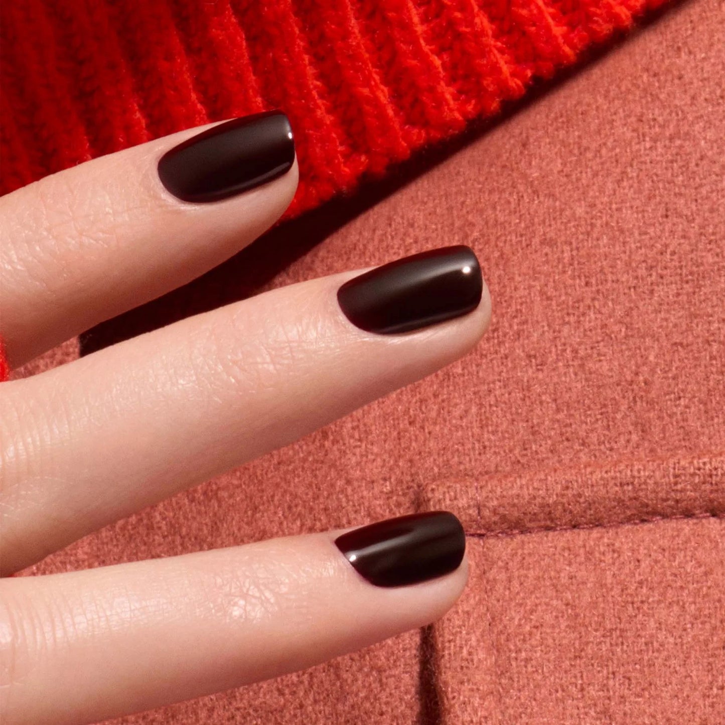 Hollyhock | MANOCURIST